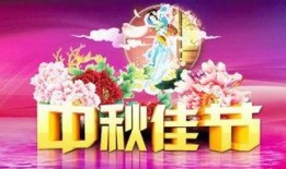 佳节高清在线观看,重温传统节日魅力